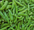 Hatch Rattlesnake Hot Pepper Seeds – 250mg for Planting, Medium Heat Chili, High Yield, Great for Roasting, Grilling & Salsas