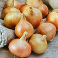 Burrell's Yellow Valencia Onion Seeds – 250mg for Planting, Sweet Mild Flavor, Heirloom, High Yield, Great for Slicing & Storage