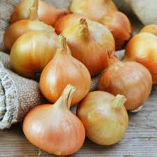 Burrell's Yellow Valencia Onion Seeds – 250mg for Planting, Sweet Mild Flavor, Heirloom, High Yield, Great for Slicing & Storage