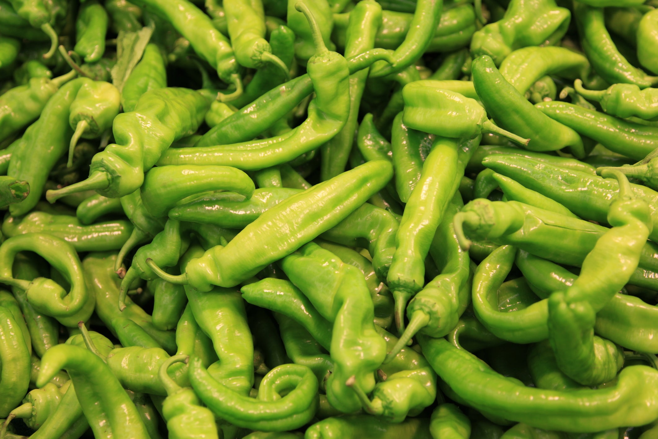 Pepperoncini Italian Sweet Pepper Seeds – 250mg for Planting, Heirloom Variety, Mild & Tangy, High Yield, Great for Pickling Salads