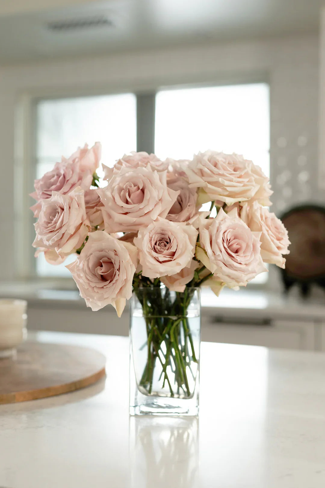 Super Rare Quicksand Rose Cuttings (3) – Rosa ‘Quicksand’ | Nude Beige Wedding Rose | Unrooted Cuttings for Rooting or Grafting