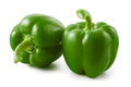 Large Green Pepper Seeds - 100+ Seeds - Versatile Capsicum annuum for Planting and Culinary Use