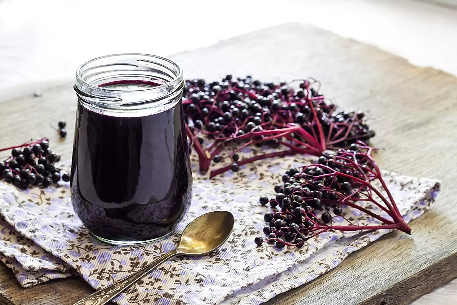 Fresh Elderberry Cuttings - 24 Pack - Black Bearing - Sambucus nigra