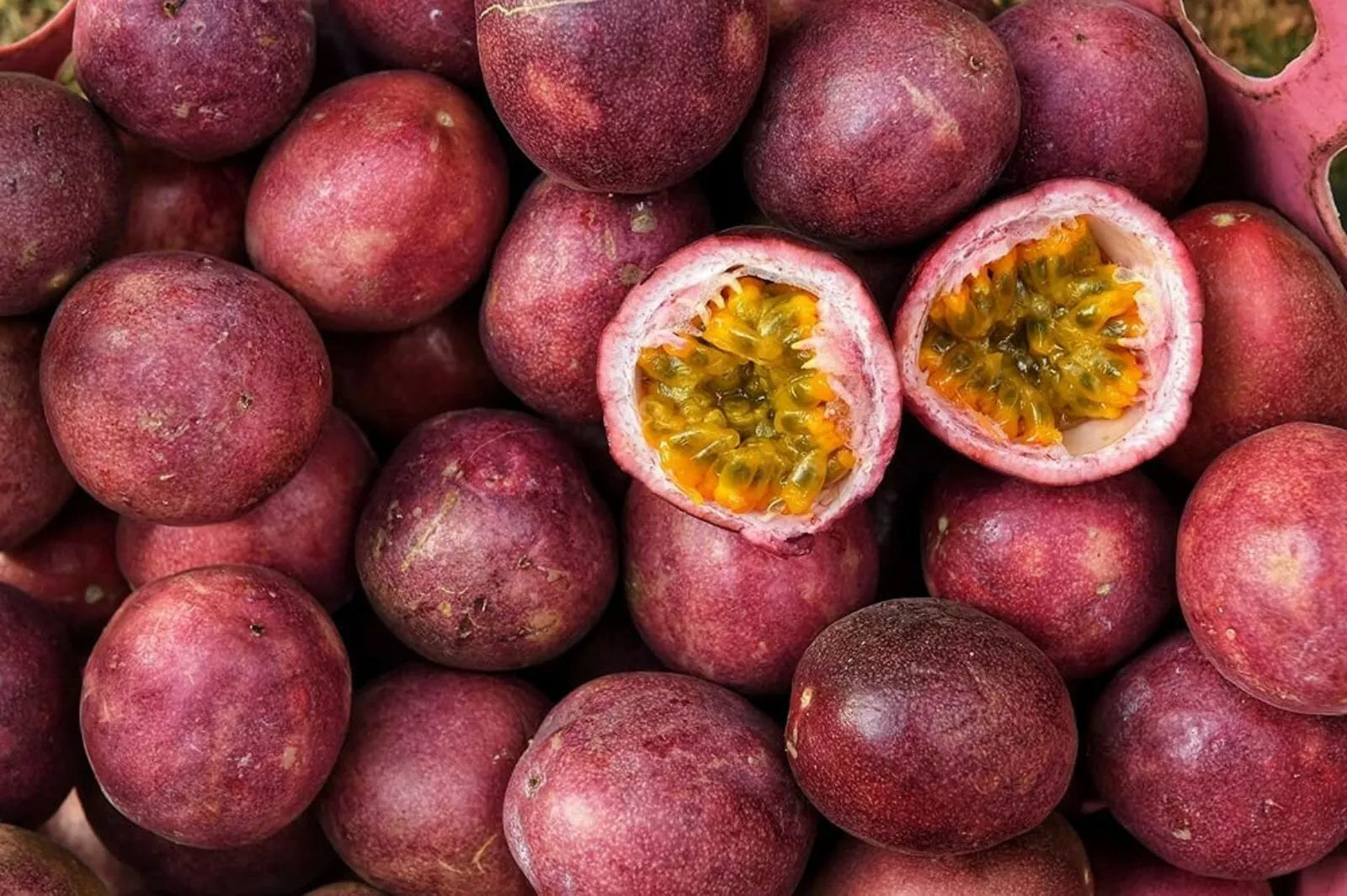 Passion Fruit Seeds - 50 Count - Healthy Variety - Passiflora edulis