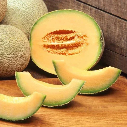 Cantaloupe Seeds - Heirloom Non-GMO Variety - Edisto 47 - Cucumis melo