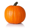 Spartan Pumpkin Seeds for Planting - 10 Seeds - All American Favorite - Cucurbita pepo - 20 Pound Bulk