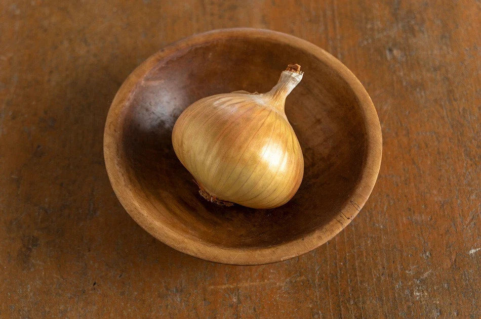 Walla Walla Sweet Onion Seeds - 500+ Count - Non-GMO Garden Seeds - Allium cepa - USA Grown