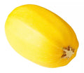 Spaghetti Squash Seeds - 25 Heirloom Non-GMO Organic Seeds - Cucurbita pepo - USA Free Shipping