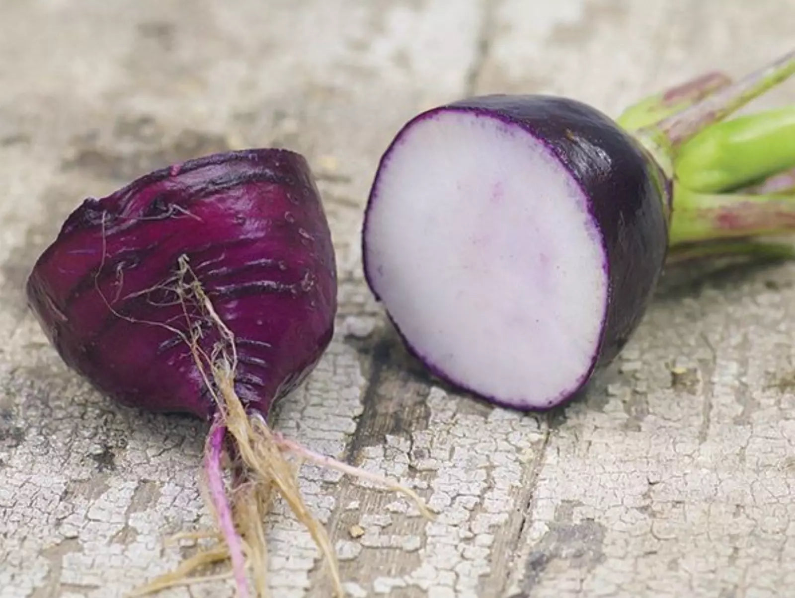 Purple Plum Radish Seeds - 50+ Heirloom Organic NON GMO - Brassica rapa subsp. rapa