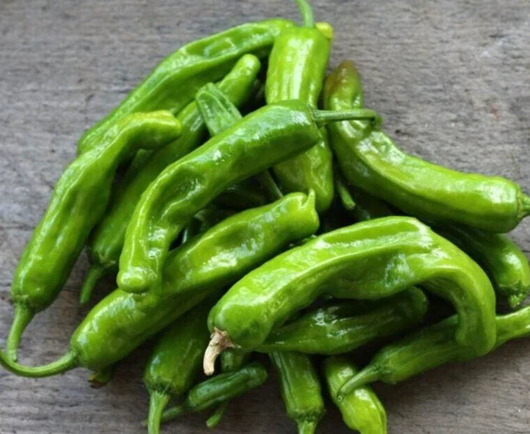 Sweet Japanese Shishito Pepper Seeds - 25 Premium Seeds - Non-GMO, Heirloom Variety - Capsicum annuum