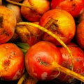 Golden Detroit Beet Seeds | NON-GMO Heirloom | Fresh Garden Seeds | Beta vulgaris