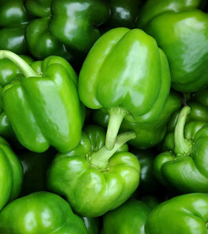 Sweet Pepper Seeds - Bushel Buster Bell - 5.1 Green - 50+ Seeds - Capsicum annuum