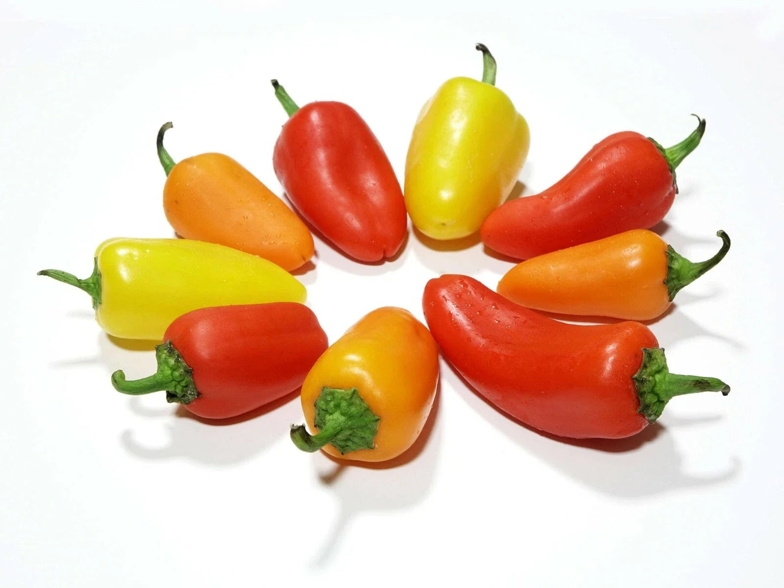 Santa Fe Grande Hot Pepper Seeds - Heirloom Variety for Spicy Flavor - Capsicum annuum