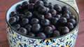 Sand Cherry Seeds - 10+ Pack for Garden Planting - Prunus besseyi - USA Grown, Fast Shipping