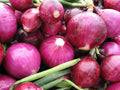Red Grano Sweet Onion Seeds - 400+ Organic Short Day Variety for Spring & Fall Vegetable Garden (Allium cepa)
