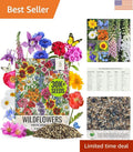Wildflower Seed Mix 2 Oz | 14+ Shade Tolerant Varieties | Native Flower Seeds for Pollinator Garden