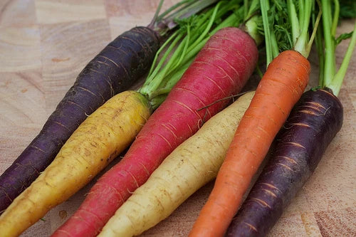 Rainbow Blend Carrot Seeds - 200 Seeds - Medicinal & Healthful Variety - Antioxidant Rich - Daucus carota