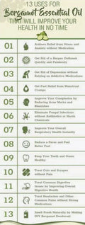 Wild Bergamot Seeds - 300 Bee Balm Seeds - Monarda fistulosa - Medicinal Herb for Gardens