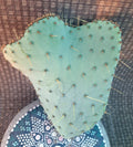 Opuntia Engelmannii var Lindheimeri Cristata Cutting 7x5, Unique Cactus Cutting, Hardy Succulent Plant