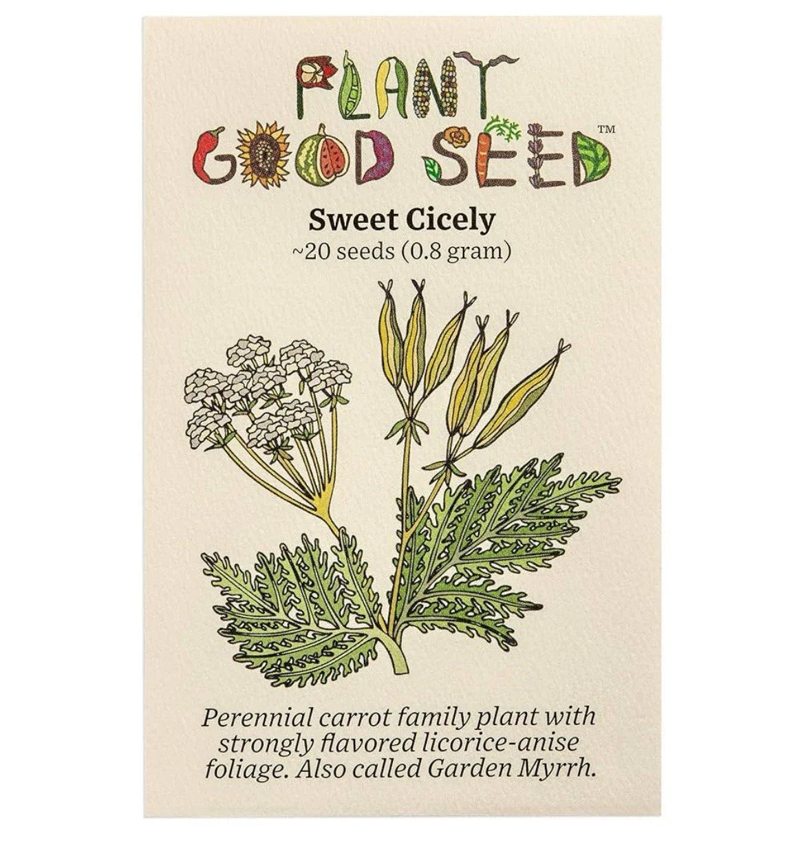 Sweet Cicely Seeds - Herb Seeds 20 Pack - Myrrhis odorata - Aromatic Culinary Herb - Organic USA Grown