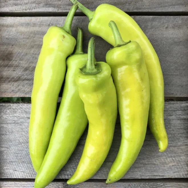 Hungarian Hot Wax Pepper Seeds - 100+ Count - Capsicum annuum - 15,000 Scoville Heat Units for 2025 Planting