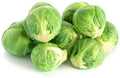 Brussel Sprouts Seeds 250+ Count Non-GMO Organic Brassica oleracea