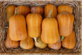 Honeynut Winter Squash Seeds – Fresh Organic Squash Seed for Planting – Cucurbita moschata