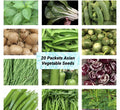 20 Packets Asian Vegetable Seeds Variety - Non-GMO Heirloom Seeds for Home Garden - USA Seller