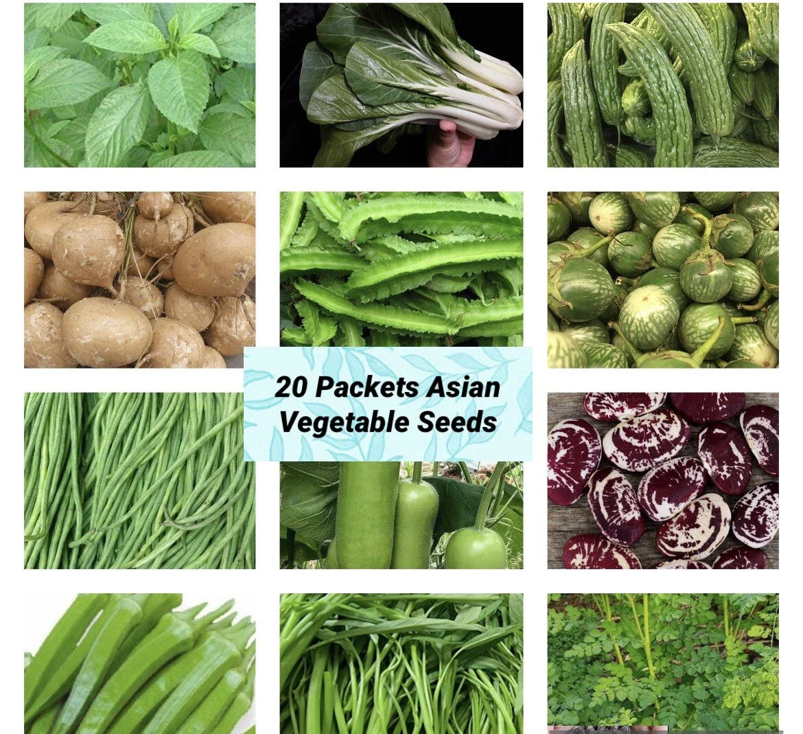20 Packets Asian Vegetable Seeds Variety - Non-GMO Heirloom Seeds for Home Garden - USA Seller