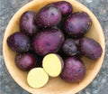 Harvest Moon Baby Seed Potatoes for Planting - Small, Organic, Heirloom Variety, Solanum tuberosum