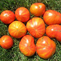 Mr. Stripey Tomato Seeds 25 Ct Heirloom NON-GMO Indeterminate Vegetable Seeds (Solanum lycopersicum)