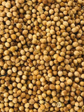 Organic Cilantro Seeds 1000 Count | NON-GMO Heirloom Coriandrum sativum | Fresh Culinary Herb Seeds