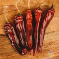 Mulato Chile Sweet Pepper Seeds - 25+ Pack for Garden Planting - Capsicum annuum - USA
