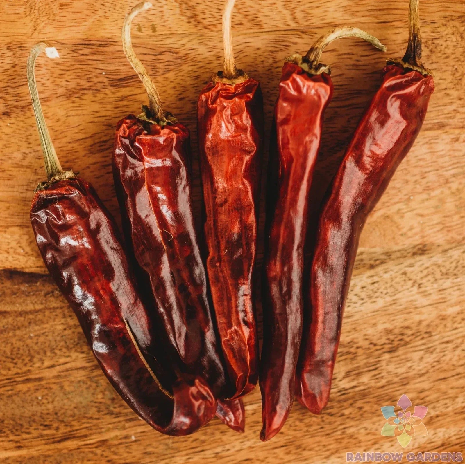 Mulato Chile Sweet Pepper Seeds - 25+ Pack for Garden Planting - Capsicum annuum - USA