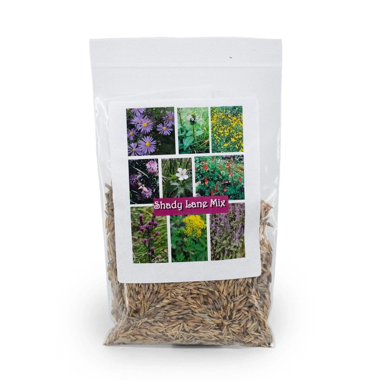 Native Wildflower Seed Mix, 2.88 oz, Shady Lane Variety, Prairie Legacy Inc.