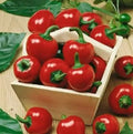 Large Red Cherry Hot Pepper Seeds - 50+ Pack, 3000-5000 Scoville Heat Units, Capsicum annuum