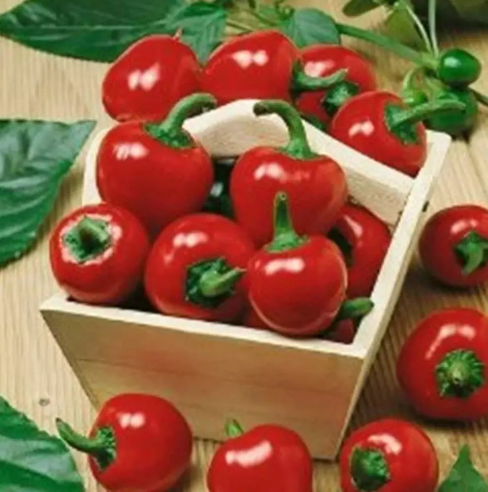 Large Red Cherry Hot Pepper Seeds - 50+ Pack, 3000-5000 Scoville Heat Units, Capsicum annuum