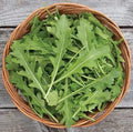 Arugula Seeds for Planting, 50 Count, Fast Growing, High Yield - Eruca vesicaria