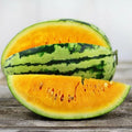 Orangeglo Watermelon Seeds | Heirloom Non-GMO | Organic Fruit Seeds | Citrullus lanatus