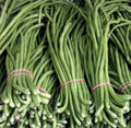 Green Yard Long Bean Seeds - 15+ Seeds, Asian String Beans, Free Round Eggplant Seeds, Vigna unguiculata