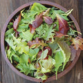 Mesclun Mix Lettuce Seeds - Non-GMO Heirloom Blend for 2025 Planting - USA Grown