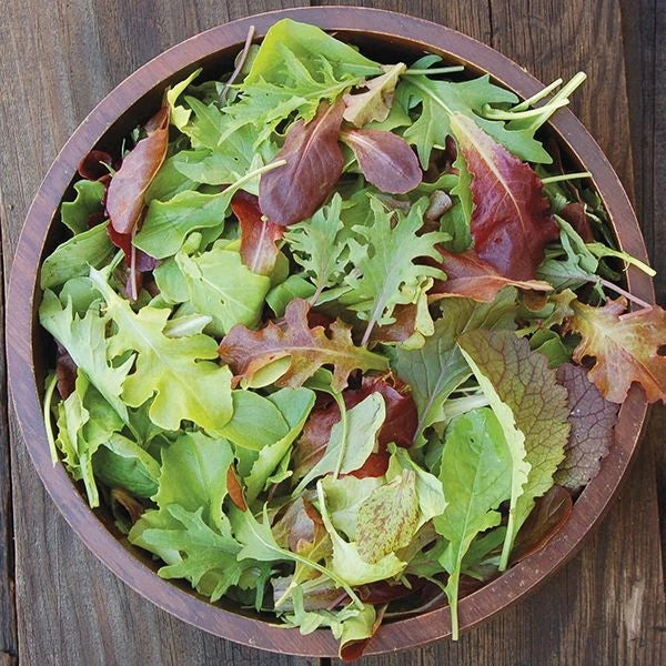 Mesclun Mix Lettuce Seeds - Non-GMO Heirloom Blend for 2025 Planting - USA Grown