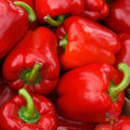 Red Bell Sweet Pepper Seeds - 25+ Pack - Non-GMO Garden Seeds for Planting - Capsicum annuum