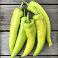 Hungarian Hot Wax Pepper Seeds - 100+ Count - 15,000 Scoville - Ideal for 2025 Planting - Capsicum annuum