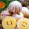Pepino Melon Seeds - 10 Seeds - Melon Pear, Sweet Cucumber - Solanum muricatum