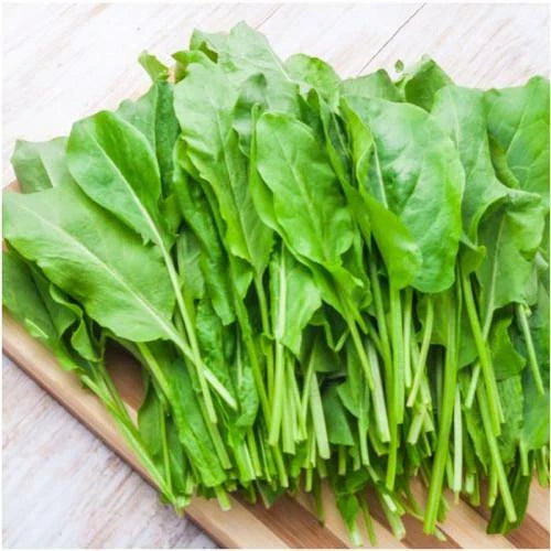 Large Leaf Sorrel Seeds - 2000+ Organic Summer Winter Patio Container - Rumex acetosa