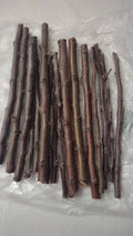 Golden Delicious Apple Tree Scions - 6 Organic Cuttings - Malus domestica