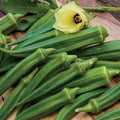 25+ Emerald Okra Seeds - Heirloom Non-GMO Fresh Vegetable Seeds - Abelmoschus esculentus