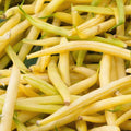 Golden Wax Bean Seeds 50 Ct - Bush Yellow Stringless Vegetable - NON-GMO - Phaseolus vulgaris - USA