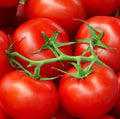 Moneymaker Tomato Seeds 50 Ct Heirloom Non-GMO Vegetable Garden Seeds (Solanum lycopersicum) USA Free Shipping